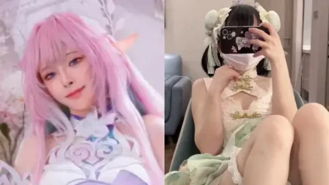 猫屋少女专宠